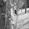 Portrait of Andreea Petrescu, a seasoned yoga practitioner.